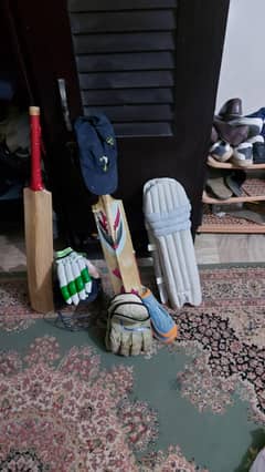 cricket