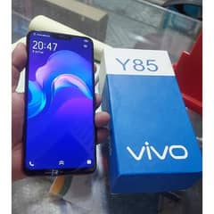 Vivoy85