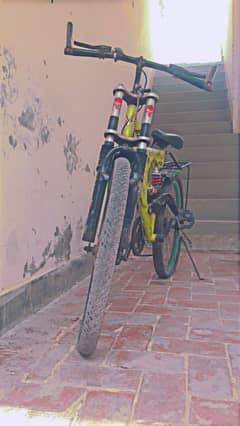 Full size falcon bicycle in green colour.
