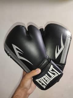 Everlast Boxing Gloves | New