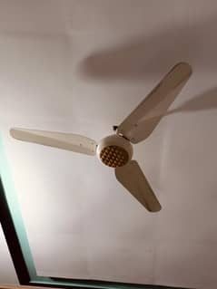 Indus fan