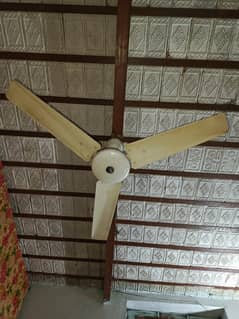 celling