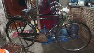 China cycle 03089443373