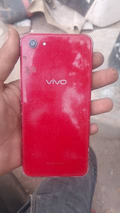 vov y81