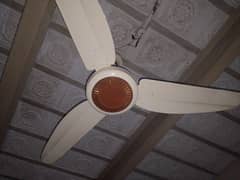 ac dc fane one menth use