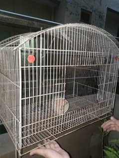 Large size bird cage