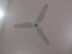Ceiling Fan
