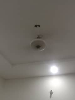 Ceiling fan