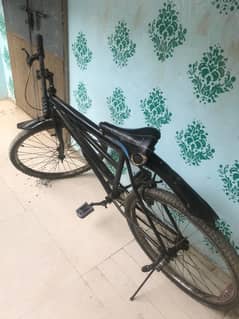 26 Size Cycle