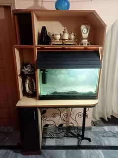 aquarium