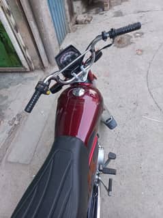 Cd 70 2025  model. 0300/8045137