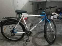 phoenix bicycle double gair available
