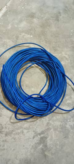 Networking Cable / CAT6 UTP PVC (4 Pair, Blue)