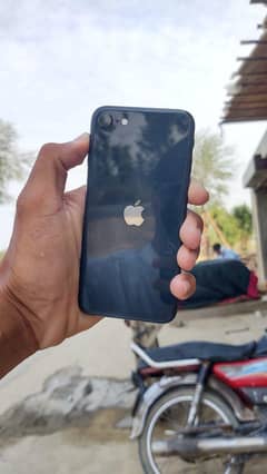 Call me on this number. 03166742095
