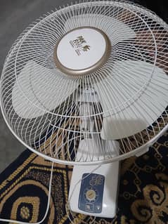 Pak
