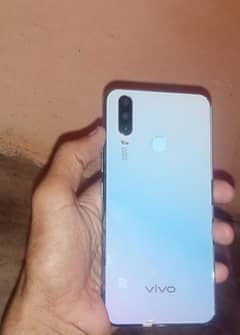 vivo