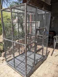 Raw Parrots Cage Made Of Pipe & Stainless Steel Net