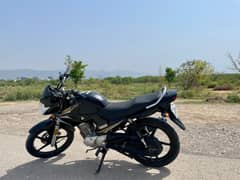 Yamaha YBR 125 - Neat & Clean.