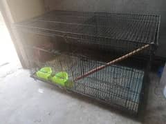 Love birds 2 pair Cage