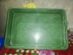 Mealworm Farming Trays