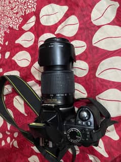 nikon d3100