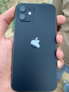 iPhone 12