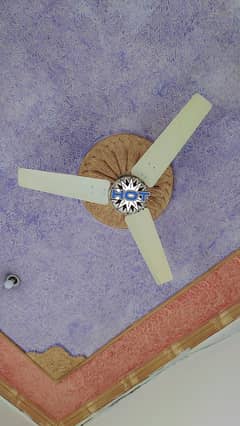 celling fan