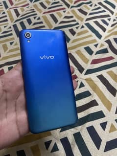 Vivo