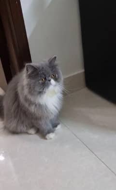 Smoke