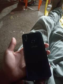 Vivo