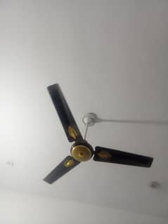 ceiling
