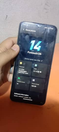 vivo