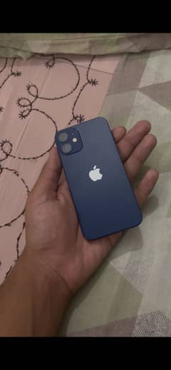 iPhone 12 mini PTA approved