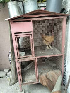iron cage for sale what app number 03404033137