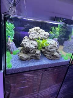 Aquarium Red Sea Brand new Back sum