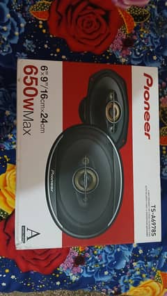 pioneer ts-a6978s