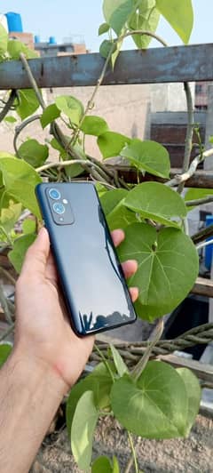 OnePlus