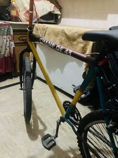 cycle sinlge frame for willing