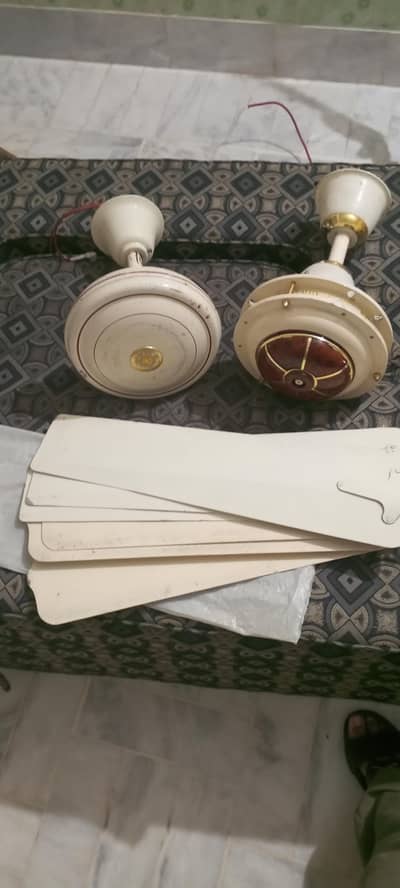 2 Fan in Copper Winding