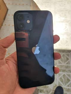 i phone 12