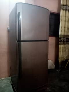 fridge best condition