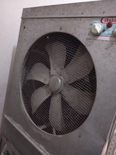 Lahori cooler