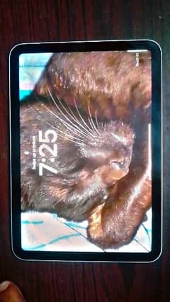 ipad Mini 6 256gb