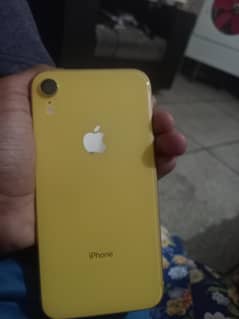 iphone xr 64gb