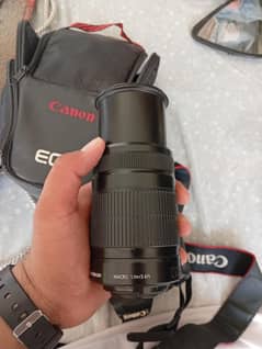 canon 55-250mm lens stm
