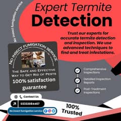 Expert