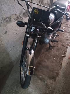 10 by 10 all oky