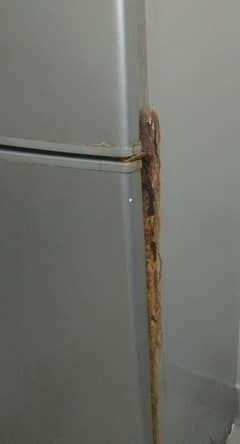 fridge
