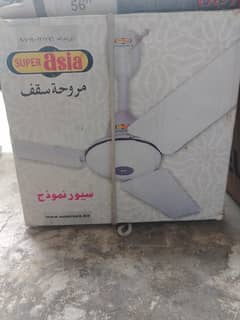 celling Fan