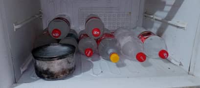 Refrigerator Full size (PEL company)